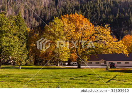 Park and green area around Skagit Information Center in Newhalem 53805910