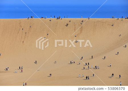 [Tottori] Horseback of Tottori Sand Dunes under sunny weather 53806370