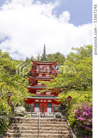 Shin Kurayama淺間公園（初夏） 53807248