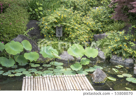 Haseji Temple（鎌倉市長谷） 53808070