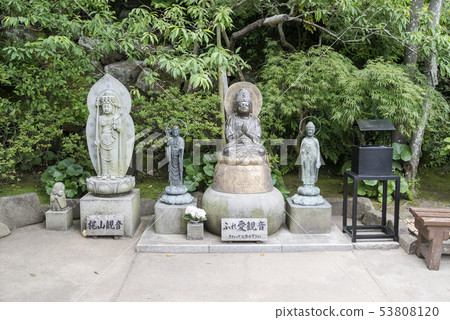 Haseji Temple（鎌倉市長谷） 53808120
