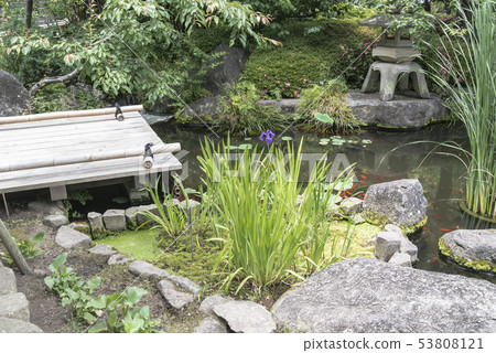 Haseji Temple (Kamakura Mayor Valley) 53808121