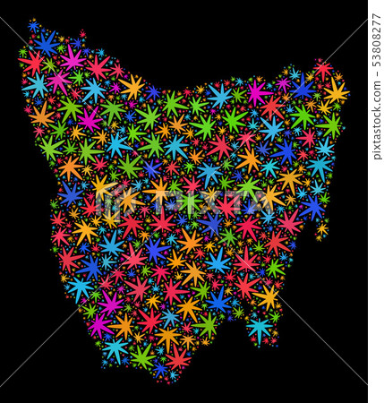 Mosaic Tasmania Island Map of Multi-Colored Cannabis Leaves Mosaic Tasmania Island Map of Multi-Colored Cannabis Leaves 53808277