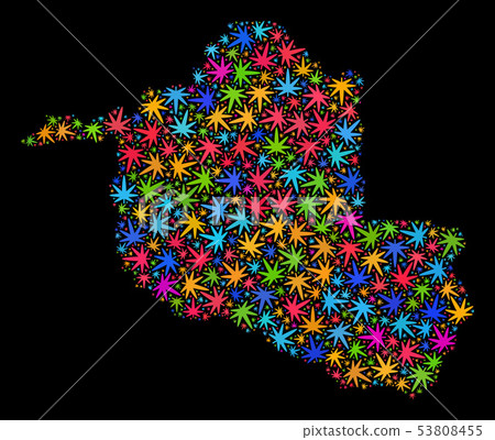 Mosaic Rondonia State Map of Multi-Colored Hemp Leaves Mosaic Rondonia State Map of Multi-Colored Hemp Leaves 53808455