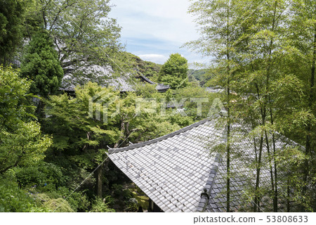 Haseji Temple（鎌倉市長谷） 53808633