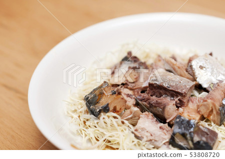 Boiled shredded cabbage and salmon 53808720