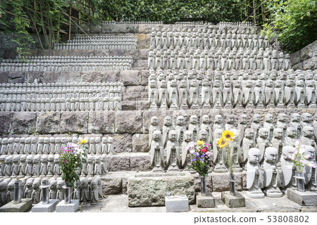 Haseji Temple（鎌倉市長谷） 53808802