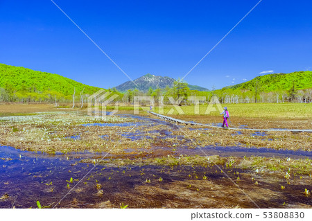 Water basho blooming wetland and Mt. Water basho blooming wetland and Mt. 53808830