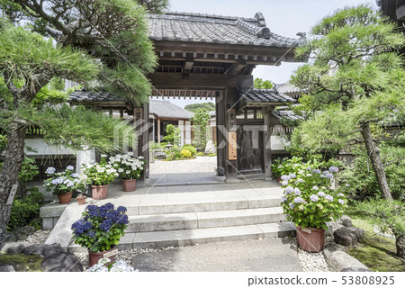 Shoin of Hase-dera Temple (Kamakura mayor valley) 53808925