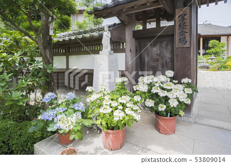 Hase-dera Temple（鎌倉市長谷）的Shoin 53809014