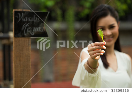 woman walk in Herb garden which is raw material woman walk in Herb garden which is raw material 53809316