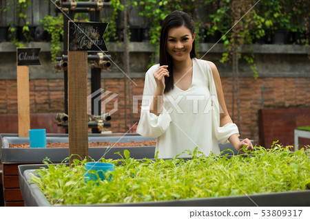 woman walk in Herb garden which is raw material woman walk in Herb garden which is raw material 53809317