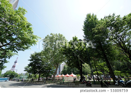 Sapporo Odori Park scenery (YOSAKOI Soran Festival Odori Nishi 4-chome) 53809759