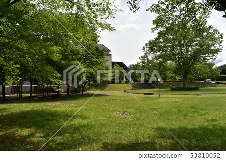 新鮮的綠色秩父冥想公園 新鮮的綠色秩父冥想公園 53810052