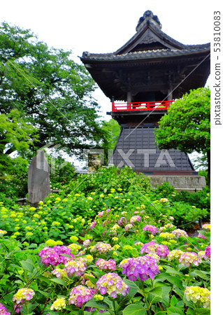 Ajisai寺Kumagaya Nogo寺 53810083
