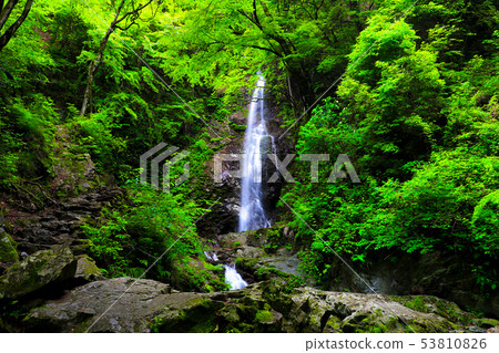 Kanazawa Falls Kanazawa Falls 53810826