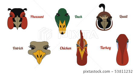 Flat icon poultry farm 53811232