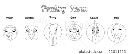 Flat icon poultry farm 53811233