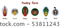 Flat icon poultry farm 53811243