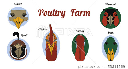 Flat icon poultry farm 53811269