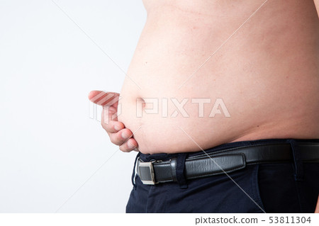 Obesity Metabolic 53811304