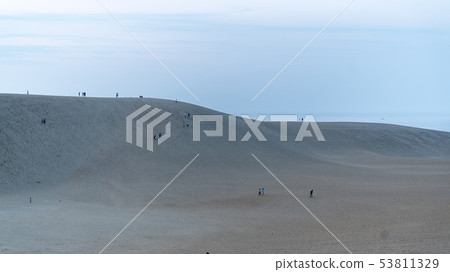 鳥取沙丘的黃昏 53811329