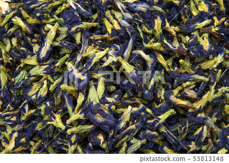 蝴蝶豌豆 蝴蝶豌豆 53813148