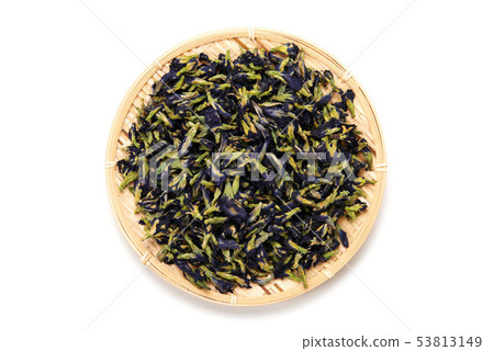 蝴蝶豌豆 蝴蝶豌豆 53813149