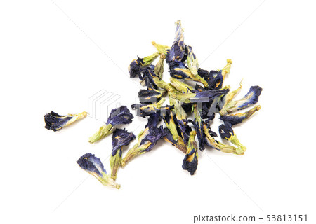 Butterfly pea 53813151