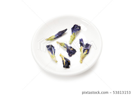 Butterfly pea Butterfly pea 53813153