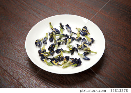 蝴蝶豌豆 蝴蝶豌豆 53813278