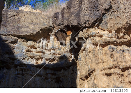 Bee nesting on the cliff Bee nesting on the cliff 53813395