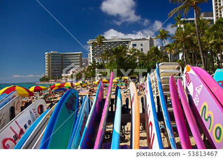 Waikiki Beach colorful surfboards Waikiki Beach colorful surfboards 53813467