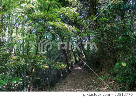 Otsushima Park Boardwalk Otsushima Park Boardwalk 53813770