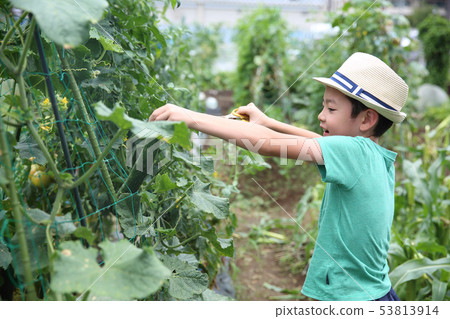 孩子們在外地幫助 孩子們在外地幫助 53813914