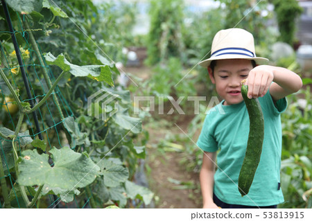 孩子們在外地幫助 孩子們在外地幫助 53813915