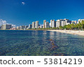 Waikiki Beach and Hotels 53814219