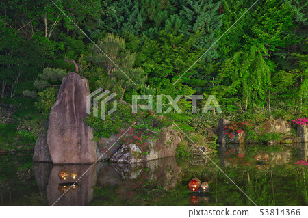 [Night water garden] 53814366