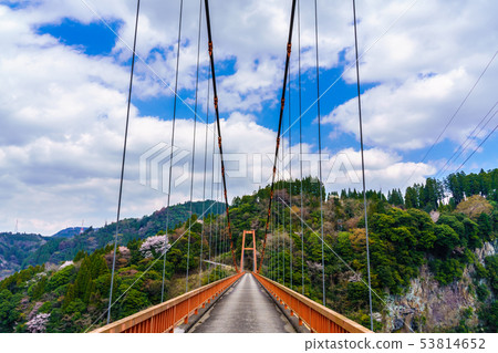 Nukimi Ohashi [大分縣日田市] 53814652