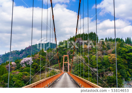 Nukimi Ohashi [大分縣日田市] 53814653