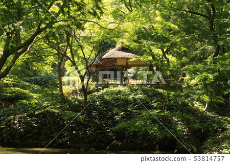 Azalea tea house 2 53814757