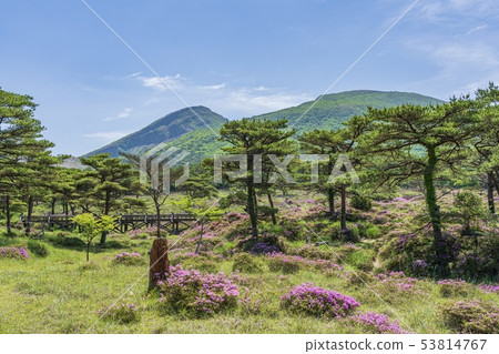 Ebino Plateau Tsutsujigaoka 53814767