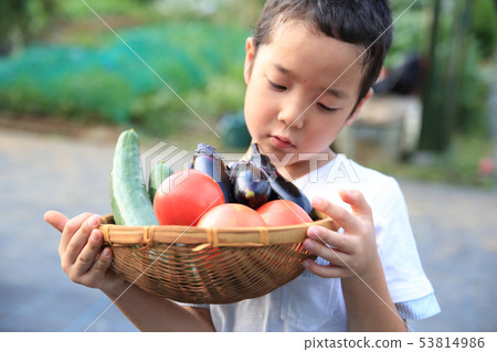 Children helping in the field 53814986