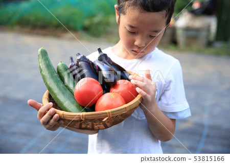 Children helping in the field 53815166