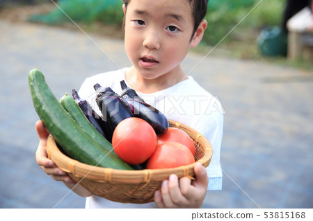 Children helping in the field 53815168