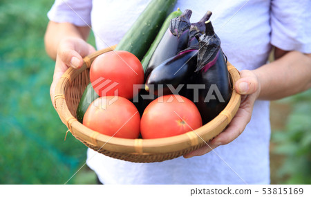 Women with summer vegetables Women with summer vegetables 53815169