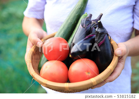 Women with summer vegetables Women with summer vegetables 53815182