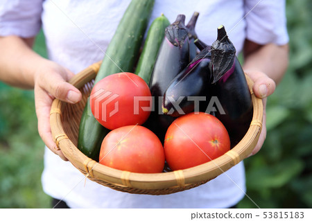 Women with summer vegetables 53815183