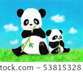 Panda parent and child 53815328