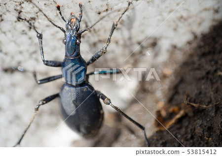 Mai Mai Photobucket 53815412